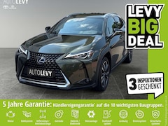 Lexus UX 250h UX 250 h 250h Style Edition *SHZ*Navi*RFK*CarPlay