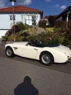 Bild des Angebotes Austin-Healey 100 100/6 BN 4 2+2 (Bauzahl 327 Stück)