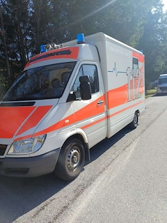 Bild des Angebotes Mercedes-Benz Sprinter Sprinter 313 Aut.