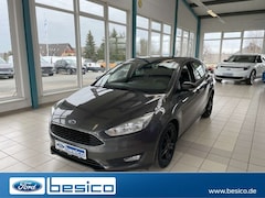 Bild des Angebotes Ford Focus Business Edition+NAV+AHK+PDC+WinterPak+LMF