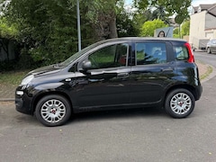 Bild des Angebotes Fiat Panda