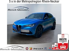 Bild des Angebotes Alfa Romeo Stelvio Q4 Competizione 2.2 AD El. Fondsitzverst. Navi Led
