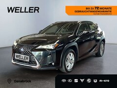 Bild des Angebotes Lexus UX 250h Business Edition *Navi*ACC*Kamera*CarPlay*LMF*