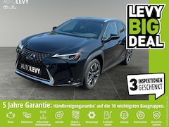 Lexus UX 250h Style Edition *CARPLAY*AA*KAMERA*PDC*