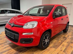 Bild des Angebotes Fiat Panda 1.2 Urban Easy KLIMA.ALU.DAB.PDC.TÜV.NEU