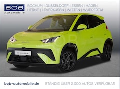 Bild des Angebotes BYD Dolphin SURF Boost 8-fach bereift