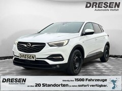 Bild des Angebotes Opel Grandland X Business 1.2 Navi LED Kurvenlicht ACC Mehrzonenkli