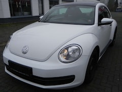 Bild des Angebotes VW Beetle CONFORTLEINE BMT STRAT/STOP