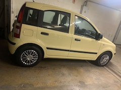 Bild des Angebotes Fiat Panda Panda 1.2 MyLife