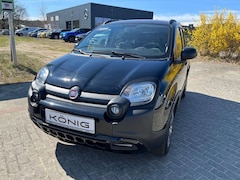 Bild des Angebotes Fiat Panda
