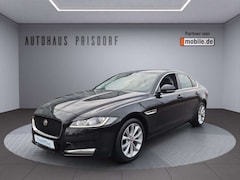 Bild des Angebotes Jaguar XF Prestige Leder/Bi-Xenon/Automatik/Navi/RFK