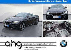 Bild des Angebotes BMW 240 Steptronic Cabrio Navi Prof. Sport Aut.