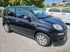 Bild des Angebotes Fiat New Panda Easy 1.2 8V Klima-AW-ZV-el. FH-NSW
