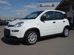 Bild des Angebotes Fiat Panda Hybrid 1.0 GSE  * Tech Paket/7"/Bluetooth/DAB*