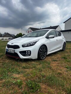 Bild des Angebotes Kia Ceed / cee'd 1.6 T-GDI GT-Challenge