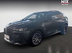 Bild des Angebotes Lexus NX 350h 2.5 Hybrid Business *360°*SITZBEL*