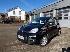 Bild des Angebotes Fiat Panda 1.2 8V *Klima*Radio*Nebelsw*8xRäder*