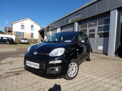 Bild des Angebotes Fiat Panda 1.2 8V *Klima*Radio*Nebelsw*8xRäder*