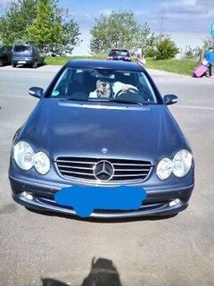 Bild des Angebotes Mercedes-Benz 320 Avantgarde