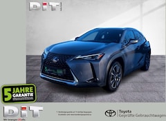 Bild des Angebotes Lexus UX 250h Style Edition Apple-Car-Play Tempomat
