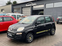 Bild des Angebotes Fiat Panda Panda Young/Klima/Standheizung/AHK/ZV/TÜV 08.25