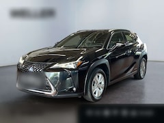 Bild des Angebotes Lexus UX 250h Business Edition *ACC*Kamera*CarPlay*SHZ*