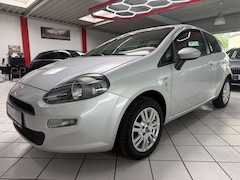 Bild des Angebotes Fiat Punto PUNTO MORE 1.2 KLIMA 8FACH BEREIFT TÜV NEU