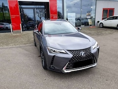 Bild des Angebotes Lexus UX 250h Style Edition