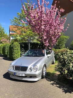 Bild des Angebotes Mercedes-Benz CLK 230 CLK Coupe 230 Kompressor Elegance