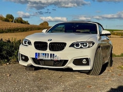Bild des Angebotes BMW 230 230i Cabrio Aut. M Sport