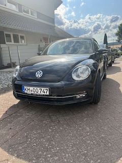 Bild des Angebotes VW Beetle Design