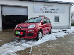 Bild des Angebotes Fiat Panda My Panda Klima 5 Sitzer
