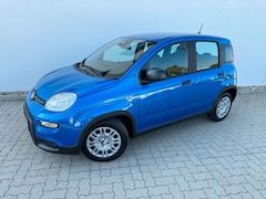 Bild des Angebotes Fiat Panda 1.0 Hybrid+Komfortpaket+5Sitz+LED
