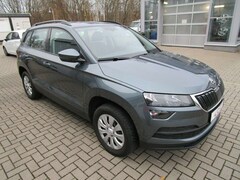 Bild des Angebotes Skoda Karoq Active+WR