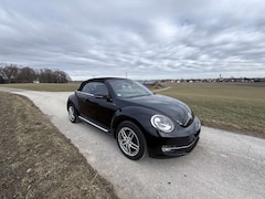 Bild des Angebotes VW Beetle Allstar BMT