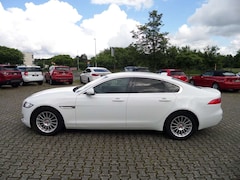 Bild des Angebotes Jaguar XF Pure Automatik+Standheizung+Navi+SHZ+Kamera+1.Hand