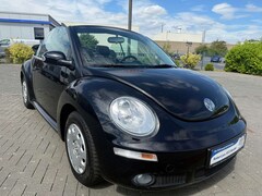 Bild des Angebotes VW New Beetle 1.6 Cabrio Klima S/H 1 Hand