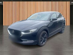 Bild des Angebotes Mazda CX-30 2.5 Skyactiv-G Homura*Navi*HeadUp*ACC*DAB*