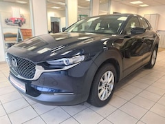 Mazda CX-3 0 Selection 2WD/ 8.FACH BEREIFT/ AHK/ NAVI