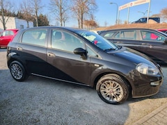 Bild des Angebotes Fiat Punto Easy 1.2 8V 5-Türer Klima-M+S-ALU-