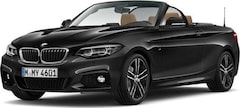 Bild des Angebotes BMW 230 i Steptronic Cabrio M Sport Sport Aut. PDC