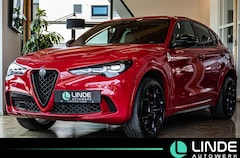 Bild des Angebotes Alfa Romeo Stelvio Quadrifoglio Q4 21|ACC|H-K|RFK|MEMORY