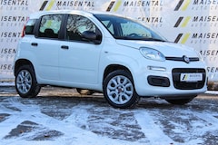 Bild des Angebotes Fiat Panda Easy|Klima|USB|Radio|Isofix|Komfort-Paket