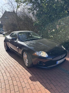 Bild des Angebotes Jaguar XK8