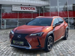 Lexus UX 250h UX 250 h Style Edition zuverlässiger Crossover