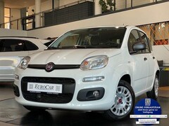 Bild des Angebotes Fiat Panda 1.2 8V Easy CityPaket+ Connect Sitzhzg DAB
