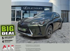 Bild des Angebotes Lexus UX 250h Executive E-Four AHK*HUD*Navi*ACC*KAM*SHZ