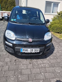 Bild des Angebotes Fiat Panda Panda 1.2 Pop