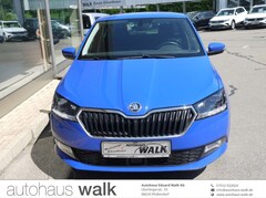 Bild des Angebotes Skoda Fabia Combi 1.0 TSI Clever NAVI ACC APS
