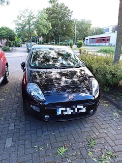 Bild des Angebotes Fiat Punto More (2017-->)
